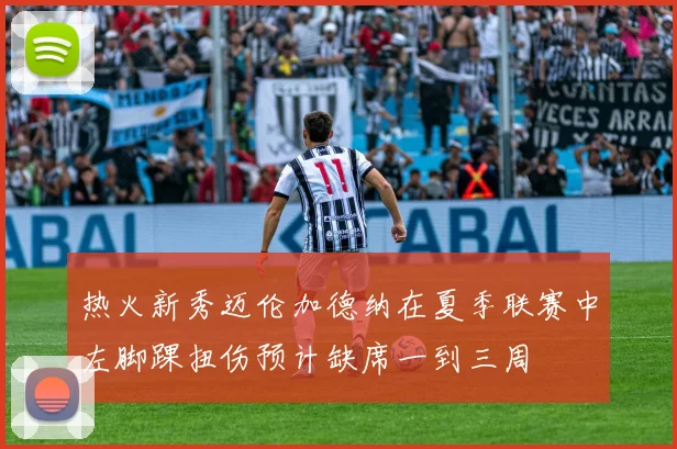 热火新秀迈伦加德纳在夏季联赛中左脚踝扭伤预计缺席一到三周
