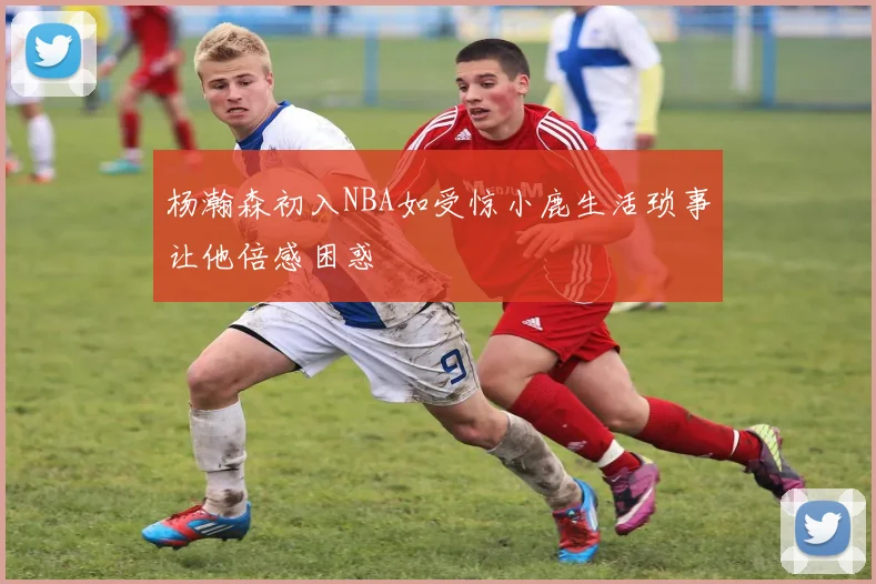 杨瀚森初入NBA如受惊小鹿生活琐事让他倍感困惑